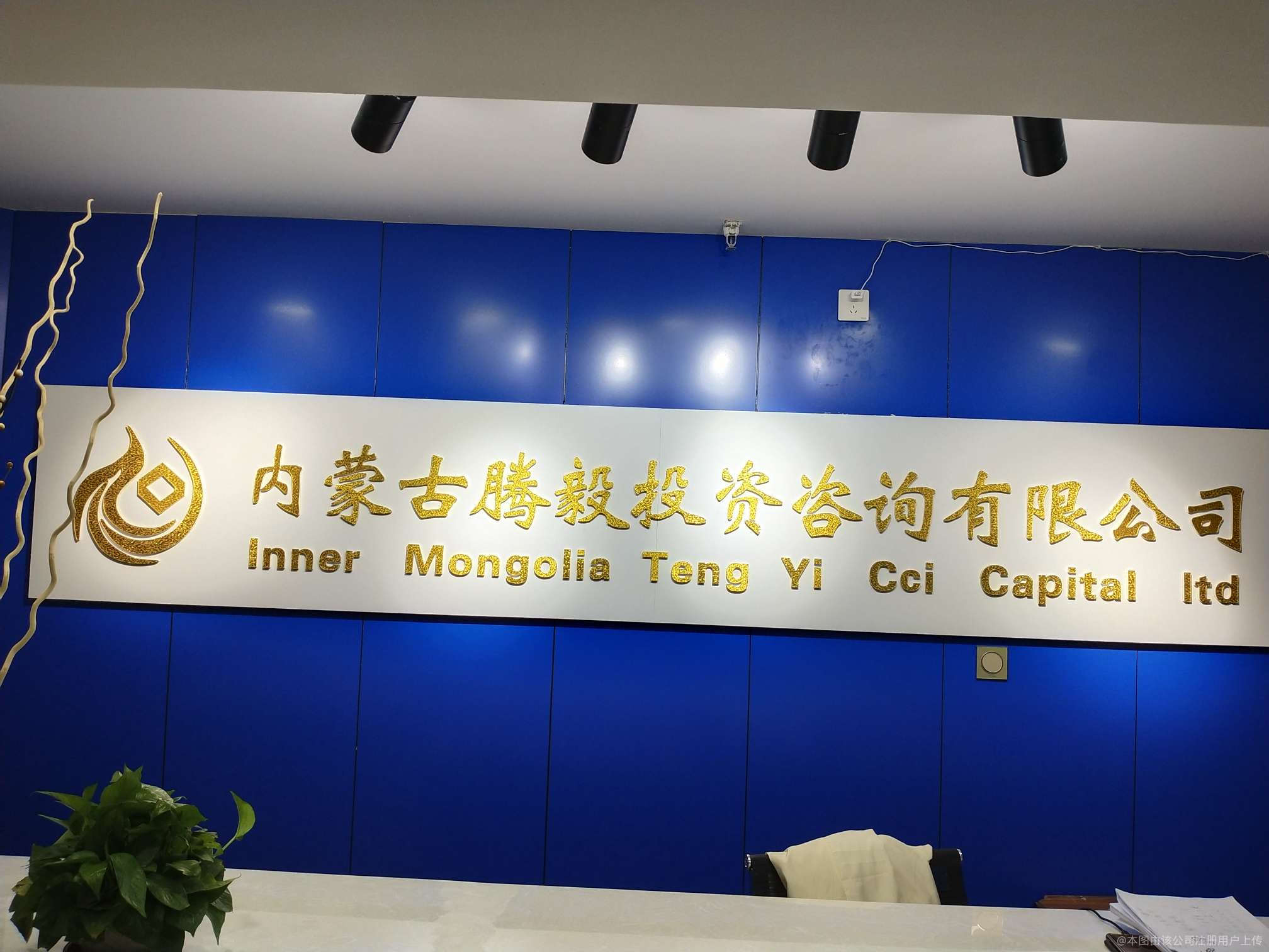 騰毅投資咨詢 您的專業(yè)投資智囊，助力財(cái)富穩(wěn)健增長